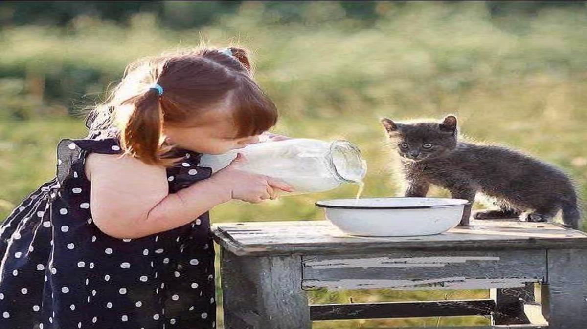 خارجی گارا گارا گا